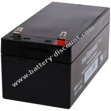 Powery replacement rechargeable battery for USV APC RBC47