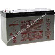 Enersys Hawker AGM Genesis lead-acid battery 12V 7 Ah VdS