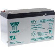 Yuasa lead acid battery REW45-12