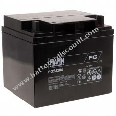 FIAMM Lead battery FG24204 Vds